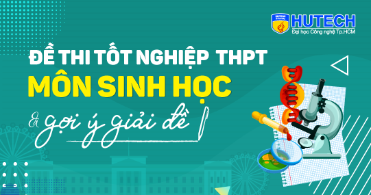 Hình ảnh thu nhỏ